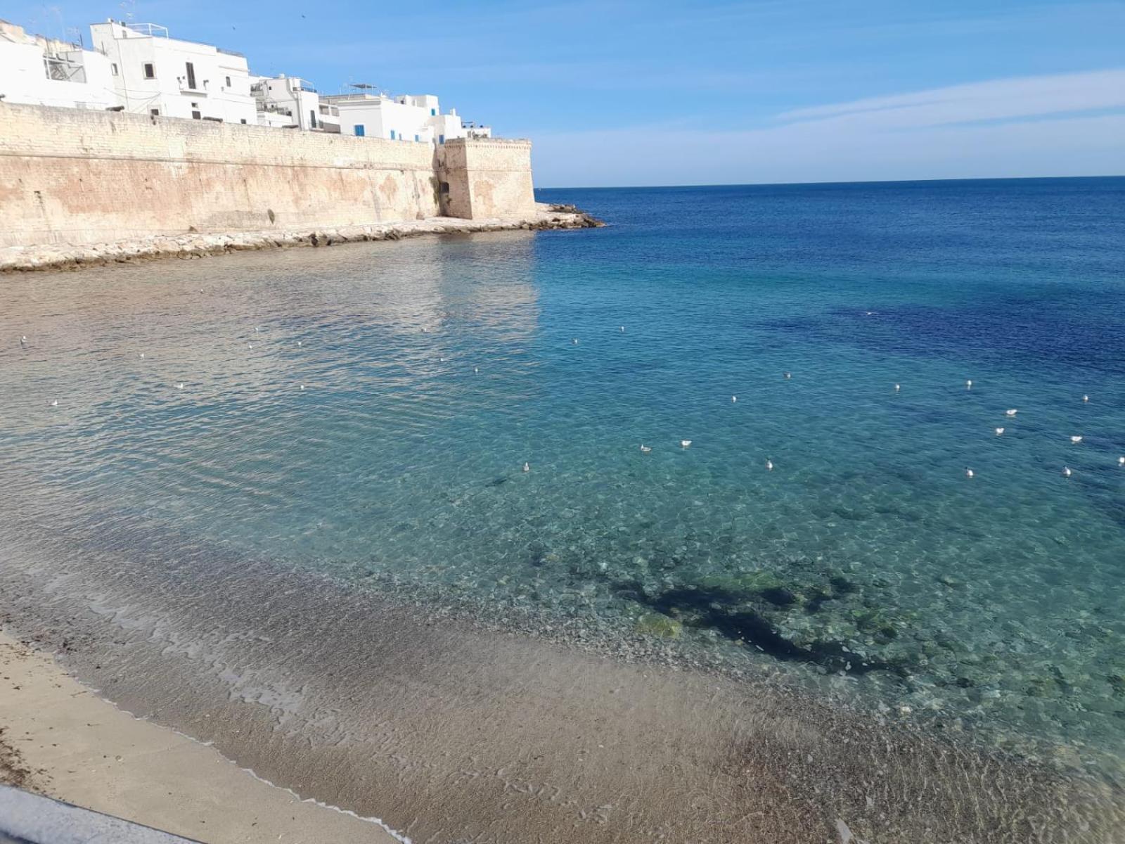 Luxury Suite Santa Caterina Monopoli Exterior photo